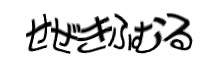 認証画像